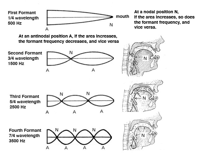 Speech Acoustics